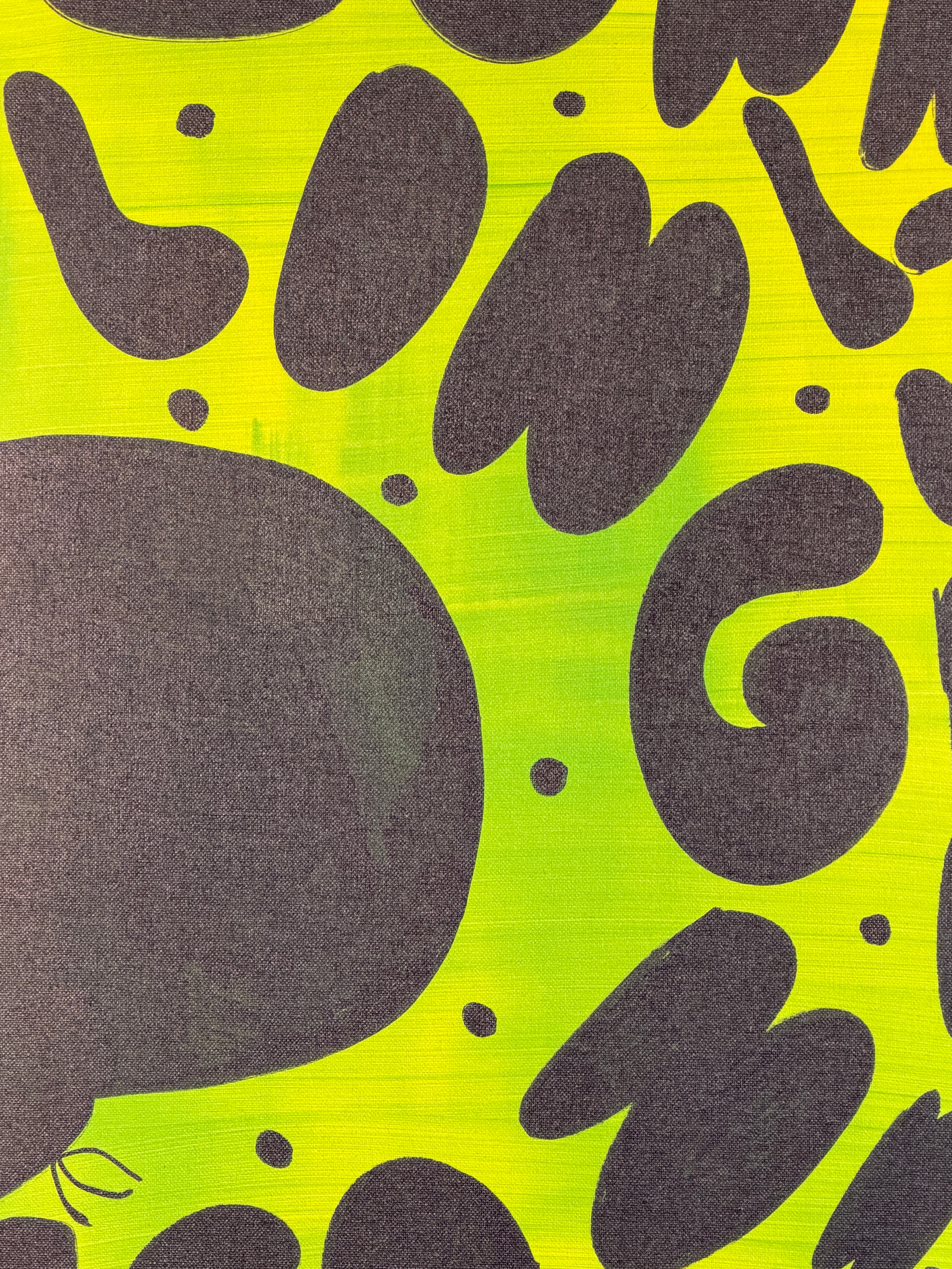 Longnose Textual Expression (Painting) - Close Up